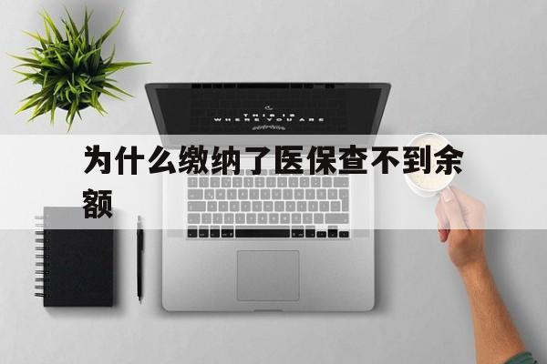 嘉兴最新为什么缴纳了医保查不到余额方法分析(最方便真实的嘉兴医保交了费怎么查不到方法)