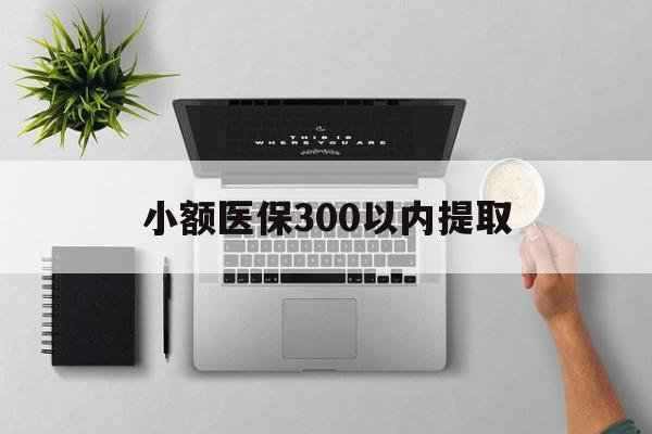 嘉兴最新小额医保300以内提取方法分析(最方便真实的嘉兴小额医保300以内提取中介方法)